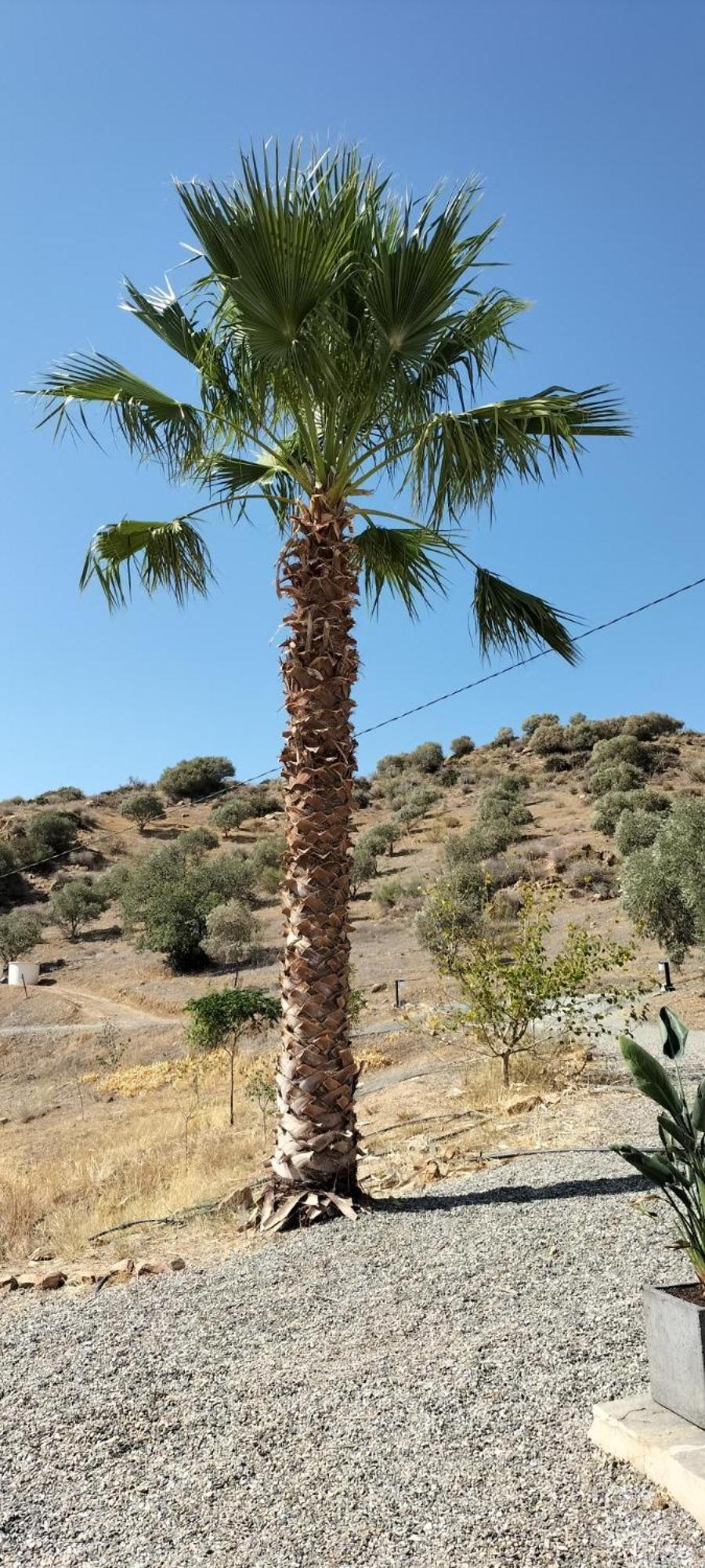 مبيت وإفطار ألورا Casa Ceratonia المظهر الخارجي الصورة